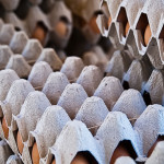 Kathy Gerson - Eggs